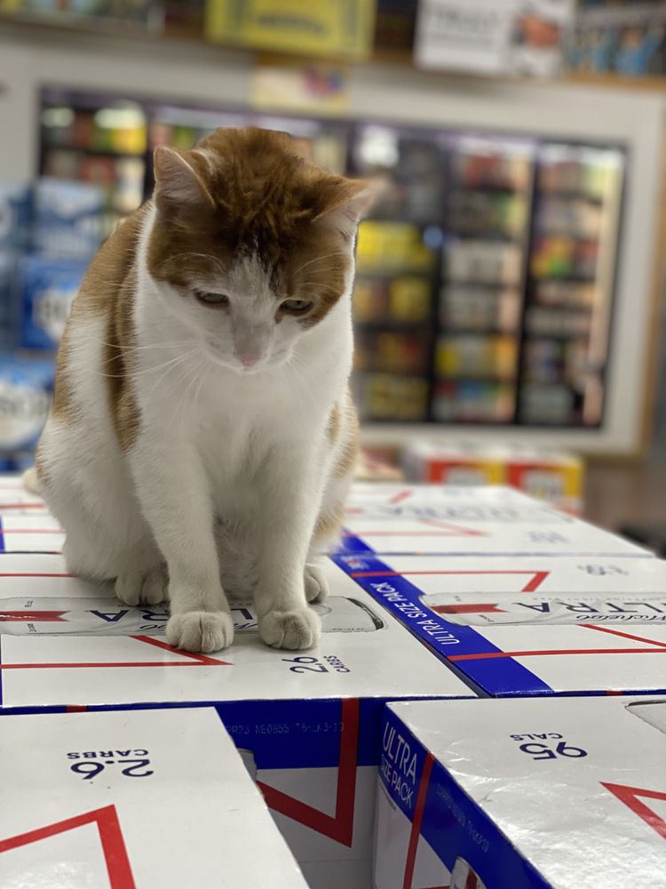 Old Country Store Logo