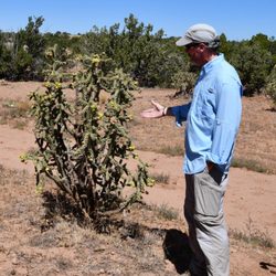 New Mexico Jeep Tours