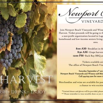 Newport Beach Vineyards Winery 69 Photos 23 Reviews Newport Beach Vineyards Winery 69