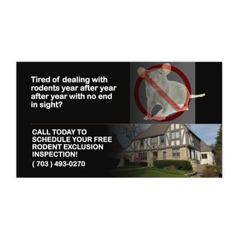 MVPest Solutions - Pest Control Near Me MVPest Solutions - Pest Control Near Me