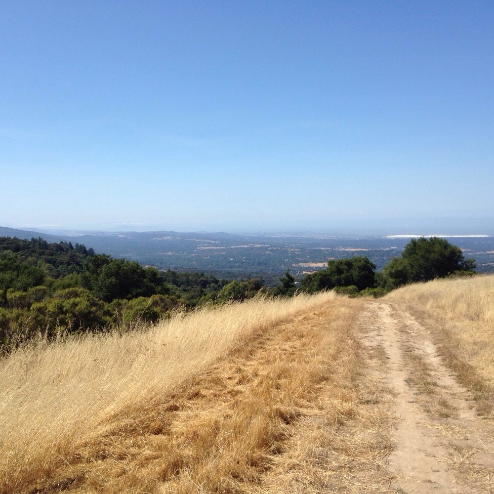 Coal Creek Open Space Preserve - Parks Near Me - San Mateo, California Coal Creek Open Space Preserve - Parks Near Me - San Mateo, California