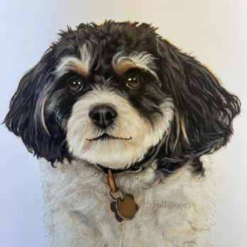 Cuddles Canine Spa - Pet Groomers Near Me - Rocky River, Ohio Cuddles Canine Spa - Pet Groomers Near Me - Rocky River, Ohio