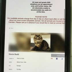 Paws Animal Adoption Center - This was the add for Stevie Budd.