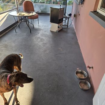 Elite Concrete Technology - Old floor - Masonry/Concrete Near Me Elite Concrete Technology - Old floor - Masonry/Concrete Near Me