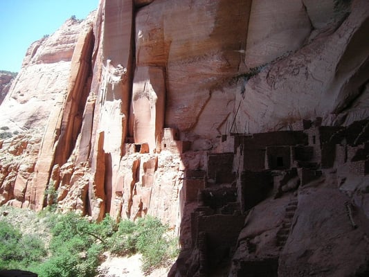 Navajo National Monument by null