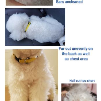 Ok Pet Grooming - Pet Groomers Near Me - Santa Clara, California Ok Pet Grooming - Pet Groomers Near Me - Santa Clara, California