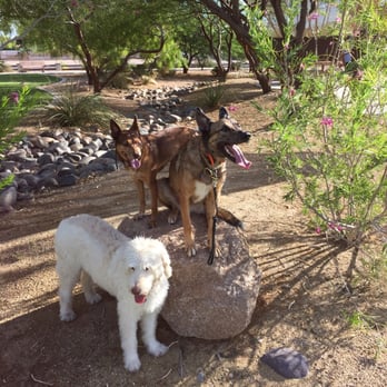Western Trails - Some of Bella's new friends - Playgrounds Near Me - Las Vegas, Nevada Western Trails - Some of Bella's new friends - Playgrounds Near Me - Las Vegas, Nevada