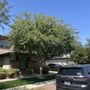 Starlight Landscaping