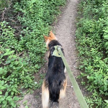 Hoyt park - Dog - Parks Near Me - Wauwatosa, Wisconsin