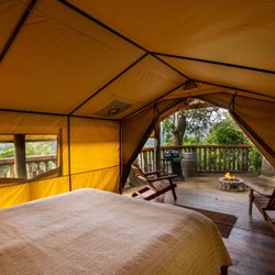 Saddle Mountain - Luxury Tent 47Q interior view