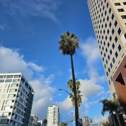 Downtown Long Beach Station - Beautiful Morning @ Downtown LB | 50°F Cloudy