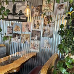 South Beloit Mexican Food & Bakery - Interesting wall decor