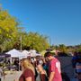 Photo of Taste the World Festival