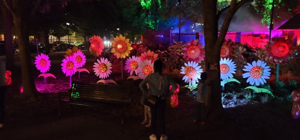 Frisco RoughRiders by null