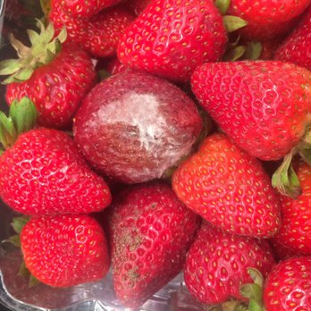 Walmart Supercenter - Really bad fruit - Department Stores Near Me - Apopka, Florida Walmart Supercenter - Really bad fruit - Department Stores Near Me - Apopka, Florida