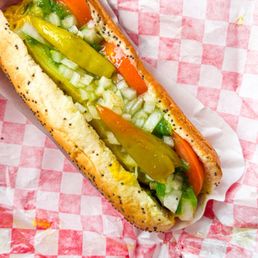 Chicago Dog Chicago Dog