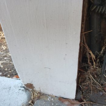 10 Year Paint - Painters Near Me