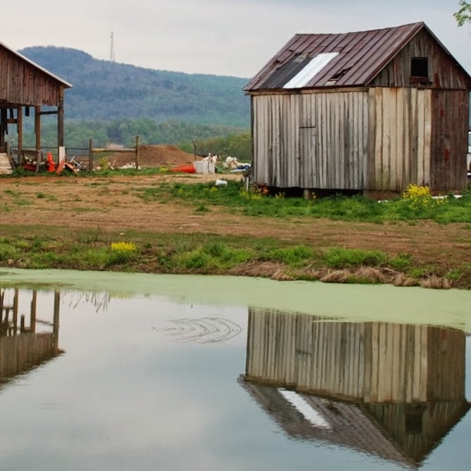 COOL SPRING FARM Updated September 2024 950 Glebe Ln, Berryville