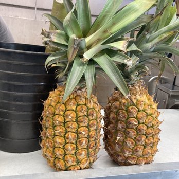 4 Seasons Juice - You can get fresh pineapple juices or drink it straight out of the pineapple, 11.12.2022. - Juice Bars & Smoothies Near Me - Urban Honolulu, Hawaii 4 Seasons Juice - You can get fresh pineapple juices or drink it straight out of the pineapple, 11.12.2022. - Juice Bars & Smoothies Near Me - Urban Honolulu, Hawaii