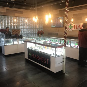 The Harvest Foundation - Cannabis Clinics Near Me - Albuquerque, New Mexico