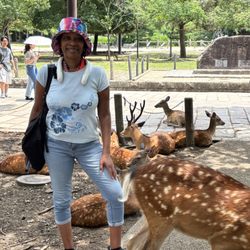 Angela Veray Travel Agency - Nara Deer Park, Japan