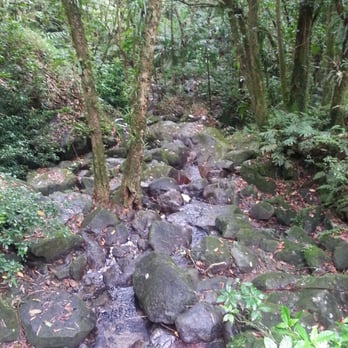El Yunque Rainforest - Hiking Near Me - Luquillo, Puerto Rico El Yunque Rainforest - Hiking Near Me - Luquillo, Puerto Rico