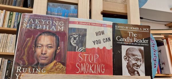 Molly's Books & Records by null