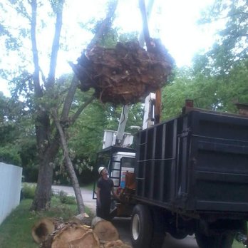 Bob Evans Tree Service - Tree Services Near Me - Indian Mound, Tennessee Bob Evans Tree Service - Tree Services Near Me - Indian Mound, Tennessee