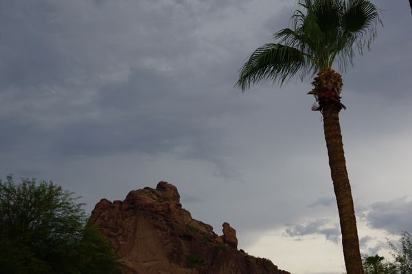 Sanctuary Camelback Mountain Resort & Spa by null