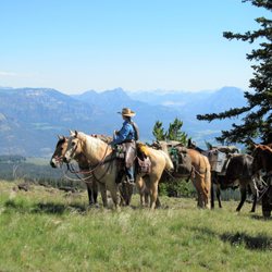 Wilderness Pack Trips - Friendly, safe horses to get you into the best of Yellowstone's Backcountry.