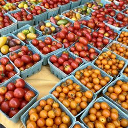 CitySeed Farmer's Markets - Tomatoes from starlight gardens