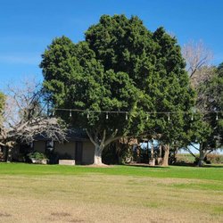 Bel Cielo Farm Wedding and Event Venue