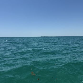 Amoray Dive Resort - Resorts Near Me - Key Largo, Florida