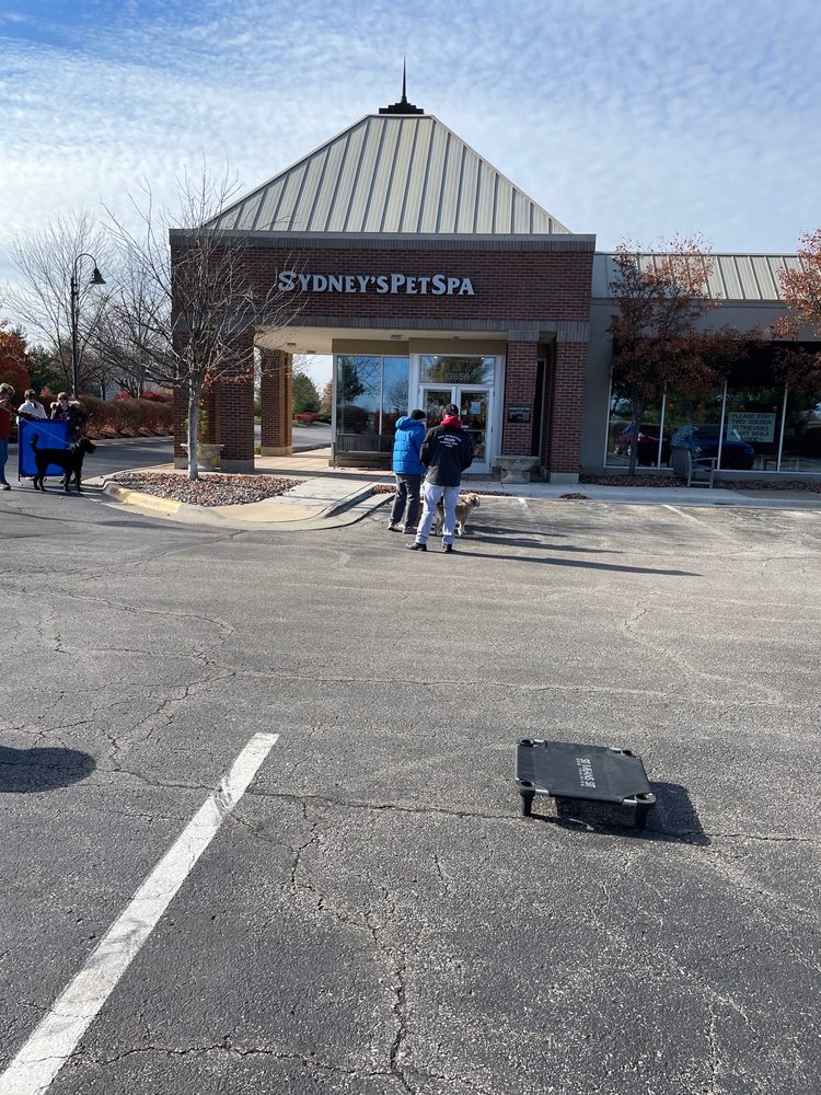 SYDNEY’S PET SPA Updated October 2024 20 Photos & 44 Reviews