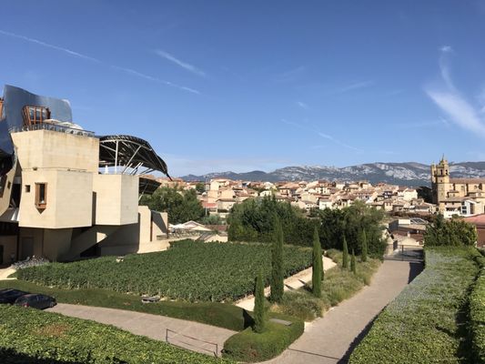 Hotel Marqués de Riscal, a Luxury Collection Hotel, Elciego by null