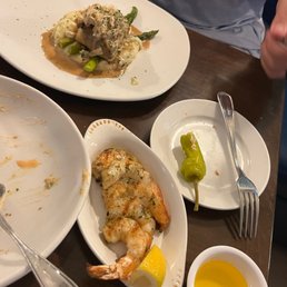 Grouper Imperial