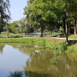 Knieperteich