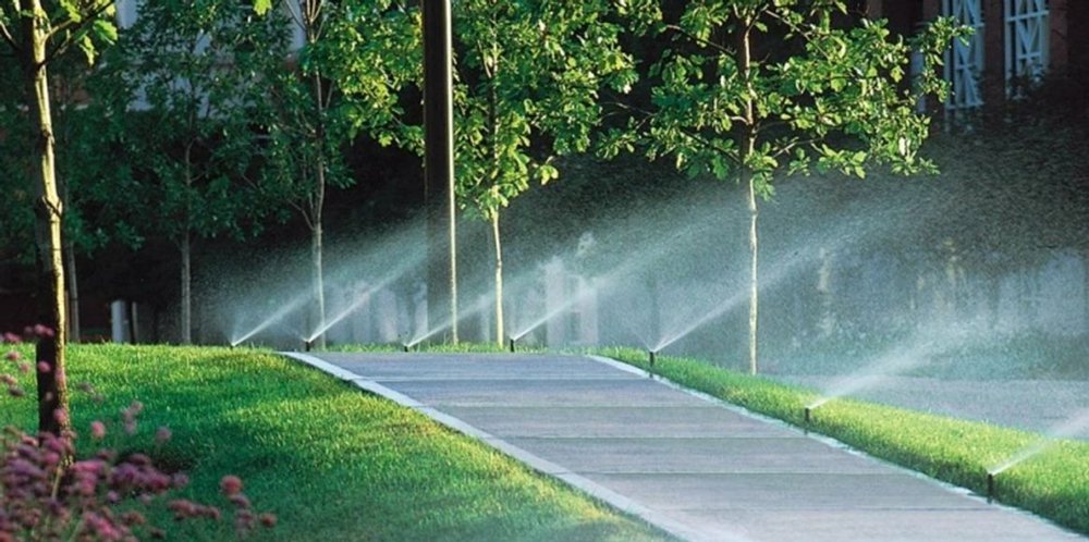 Slide of GreenTech Irrigation & Lawn Care