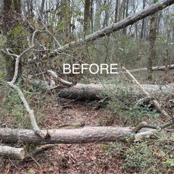 Smith Tree & Firewood Services