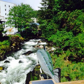 Southeast Alaska Discovery Center - Walking tour where the salmon fight their way home - Landmarks & Historical Buildings Near Me - Ketchikan, Alaska Southeast Alaska Discovery Center - Walking tour where the salmon fight their way home - Landmarks & Historical Buildings Near Me - Ketchikan, Alaska