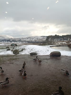 Tebay Services (Southbound) by null
