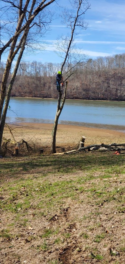 Navarro Landscaping Tree Service - tree service in Knoxville, TN