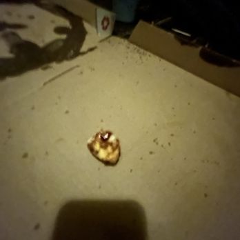 Domino's Pizza - a half eaten pizza on the floor - Pizza Near Me - Storrs Mansfield, Connecticut Domino's Pizza - a half eaten pizza on the floor - Pizza Near Me - Storrs Mansfield, Connecticut