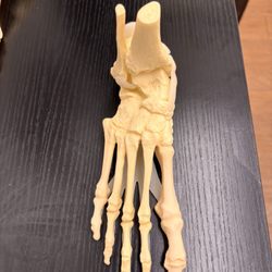 Great Lakes Foot and Ankle Institute