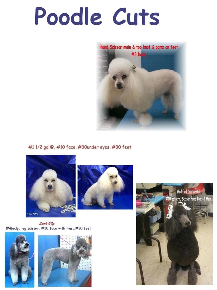 NATURE LAND PET RESORT 13 Photos 216 W Woodson Lateral Rd, Hensley