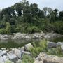 Photo of Little Falls