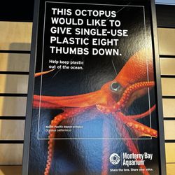 Monterey Bay Aquarium Store