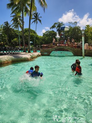 Venetian Pool by null