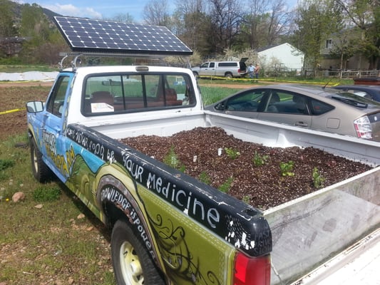 Growing Gardens by null