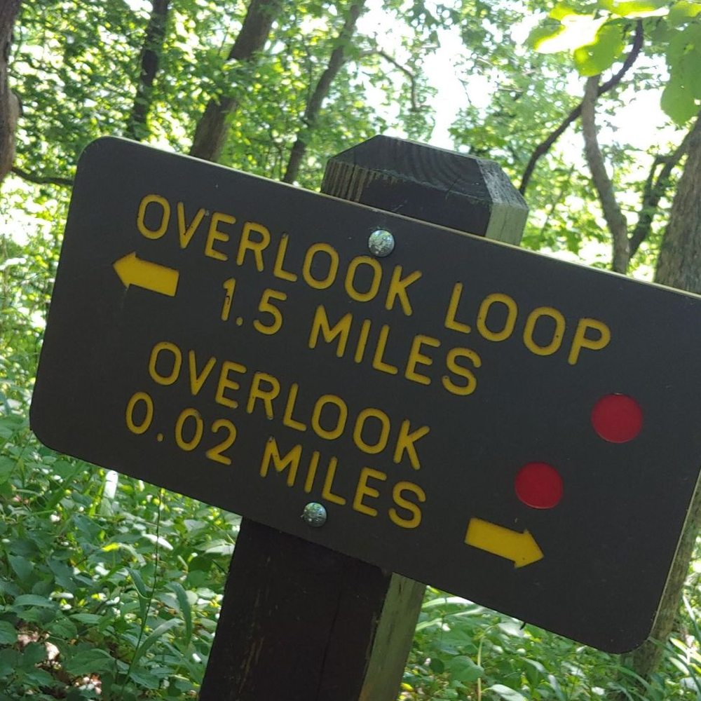 Beech Fork State Park - Parks Near Me - Barboursville, West Virginia